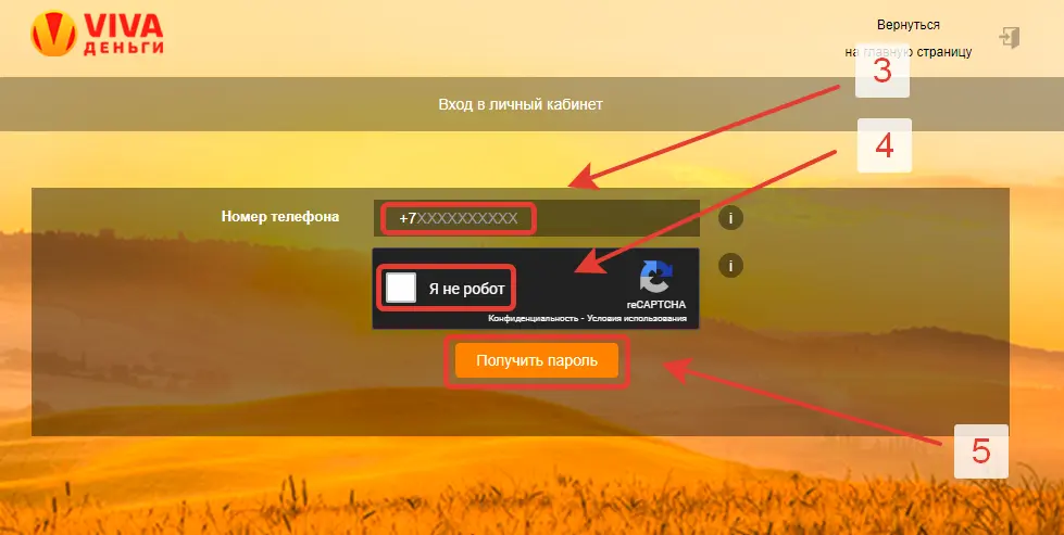VIVA Деньги личный кабинет